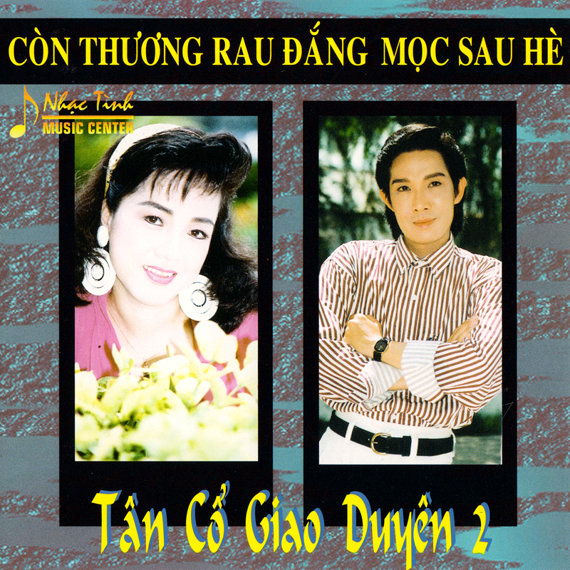 Nhạc Tình CD - Tân Cổ Giao Duyên 2 - Còn Thương Rau Đắng Mọc Sau Hè - Vũ Linh