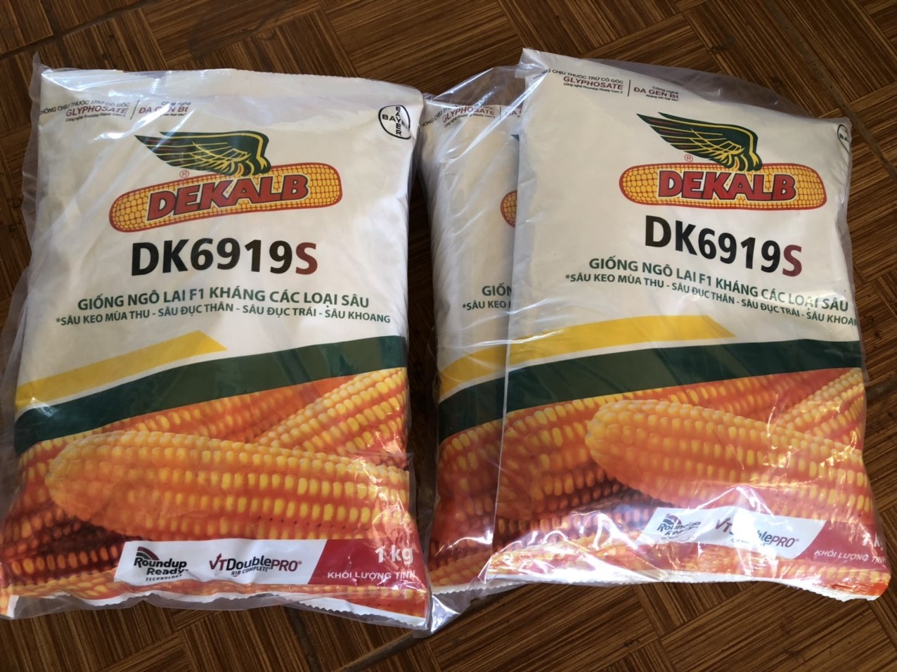 Hạt giống ngô lai F1 kháng các loại sâu DK6919S 1kg-  Bayer- NGÔ BIẾN ĐỔI GEN, GIỐNG BẮP BIẾN ĐỔI GEN