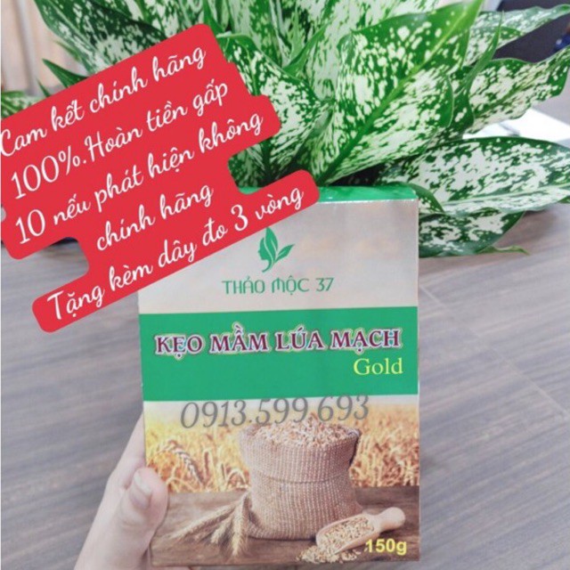 Kẹo mầm lúa mạch GOLD Thảo Mộc 37