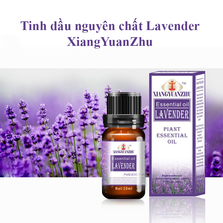 Tinh dầu nguyên chất Lavender và Lemon (natural essential oil)