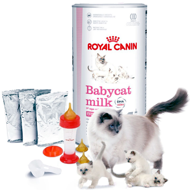[HOÀN TIỀN 10%]Sữa bột cao cấp Royal Canin Baby Cat Milk dinh dưỡng cho mèo con - CutePets