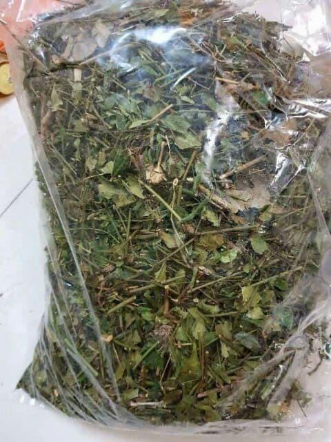 Lá Chè Vằng Lợi Sữa Giảm Cân Cho Mẹ Sau Sinh 1kg