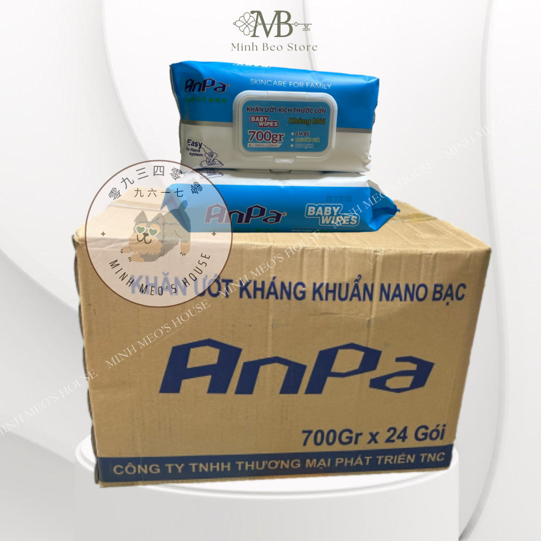Thùng khăn giấy ướt kích thước lớn 30x20cm Anpa nano bạc 700gr (24 gói/thùng)