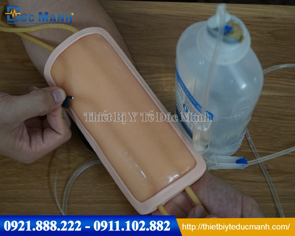 Mô hình tiêm tĩnh mạch