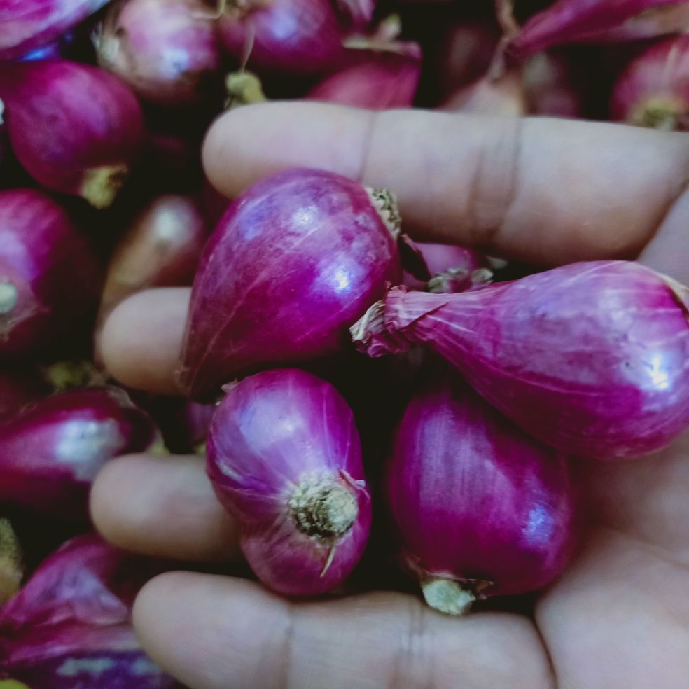 Hành tím chuẩn Huế 1kg