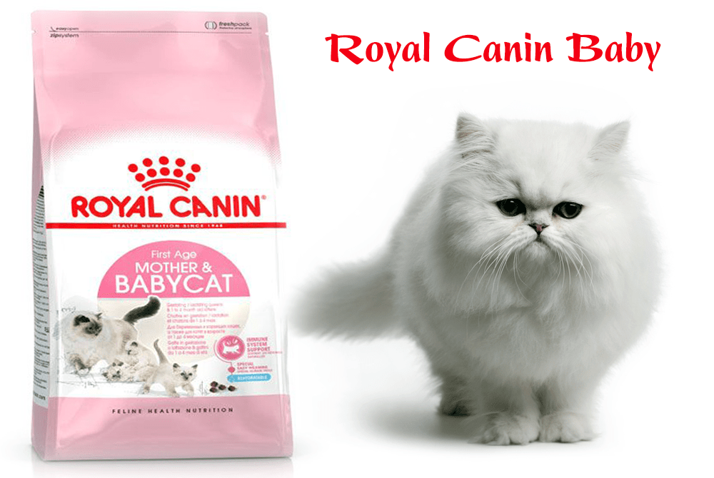 Thức Ăn Hạt Cho Mèo Royal Canin Mother and Baby Cat 2kg