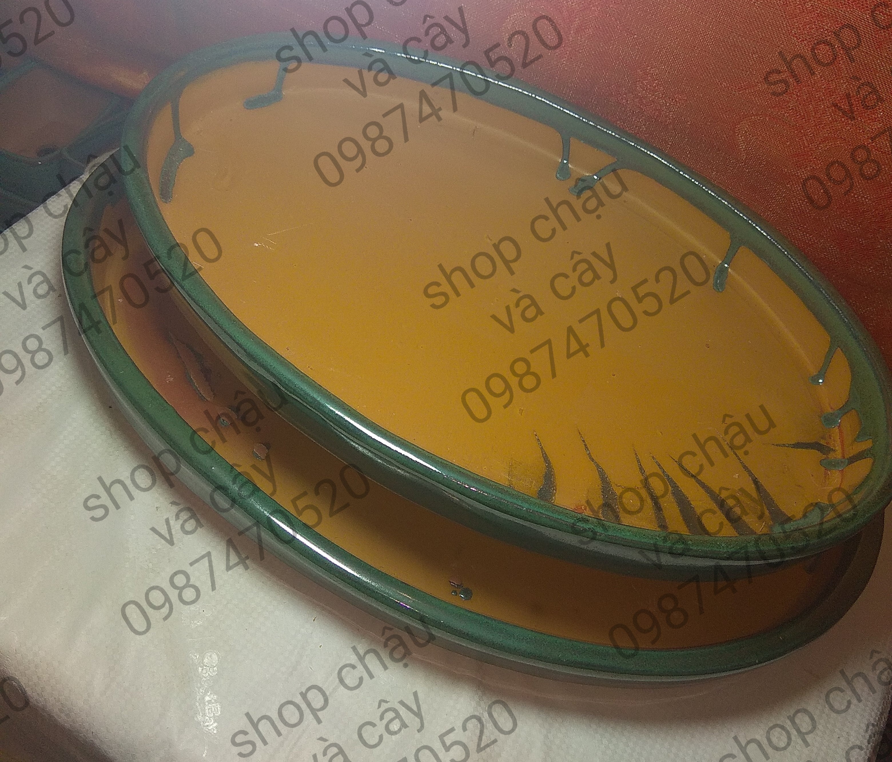 Khay phối tiểu cảnh