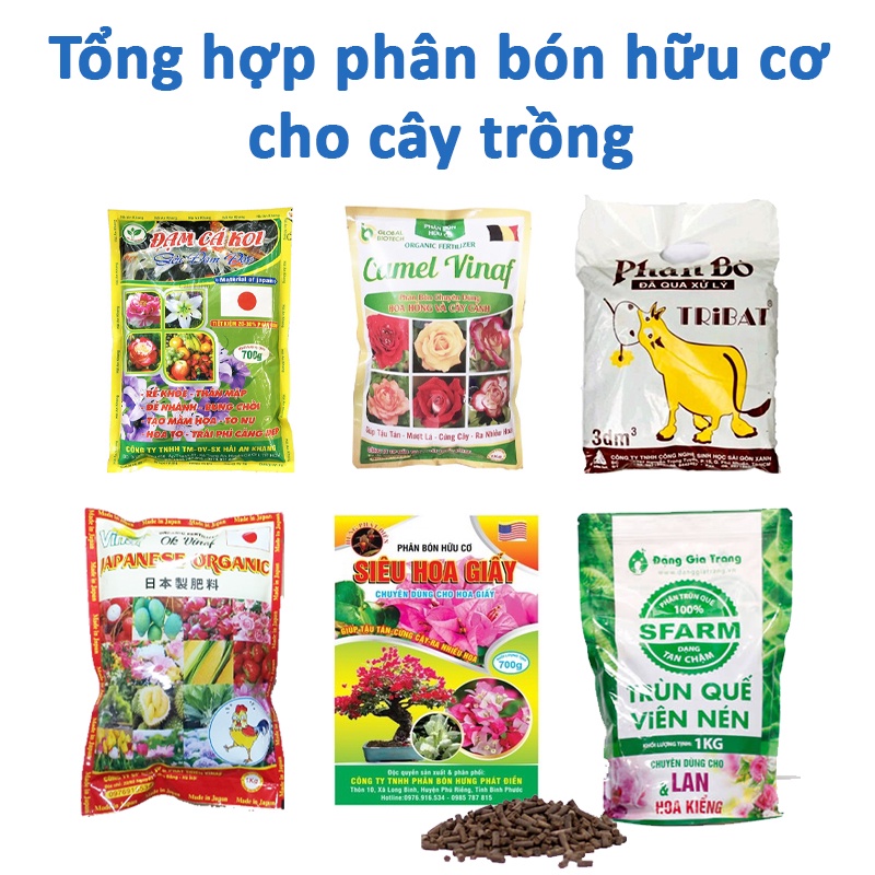 Tổng hợp phân bón hữu cơ cho cây trồng