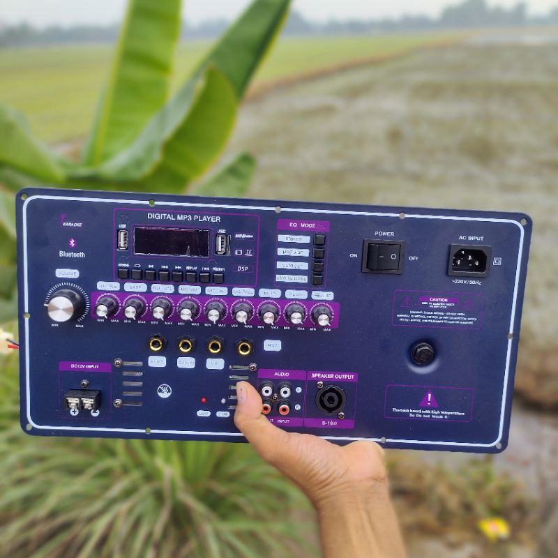 Bo Mạch Loa Kéo DSP Stereo Echo Reverb Nguồn 36V Đôi 4 Tấc Đôi 5 Tấc Chống Hú Tốt Loa Kéo
