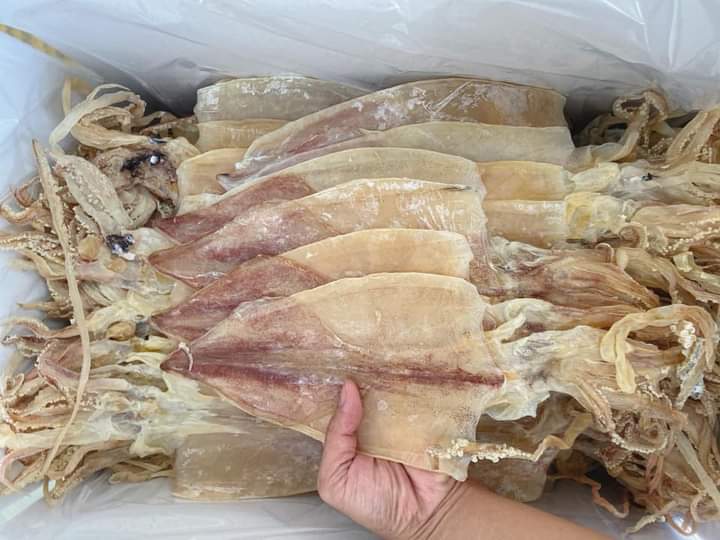 [HCM]KHÔ MỰC VŨNG TÀU 05KG( 30/35c) hcm