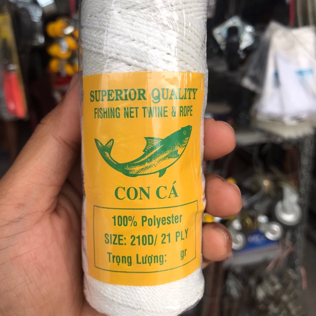 Nhợ con cá cuộn lớn và nhỏ
