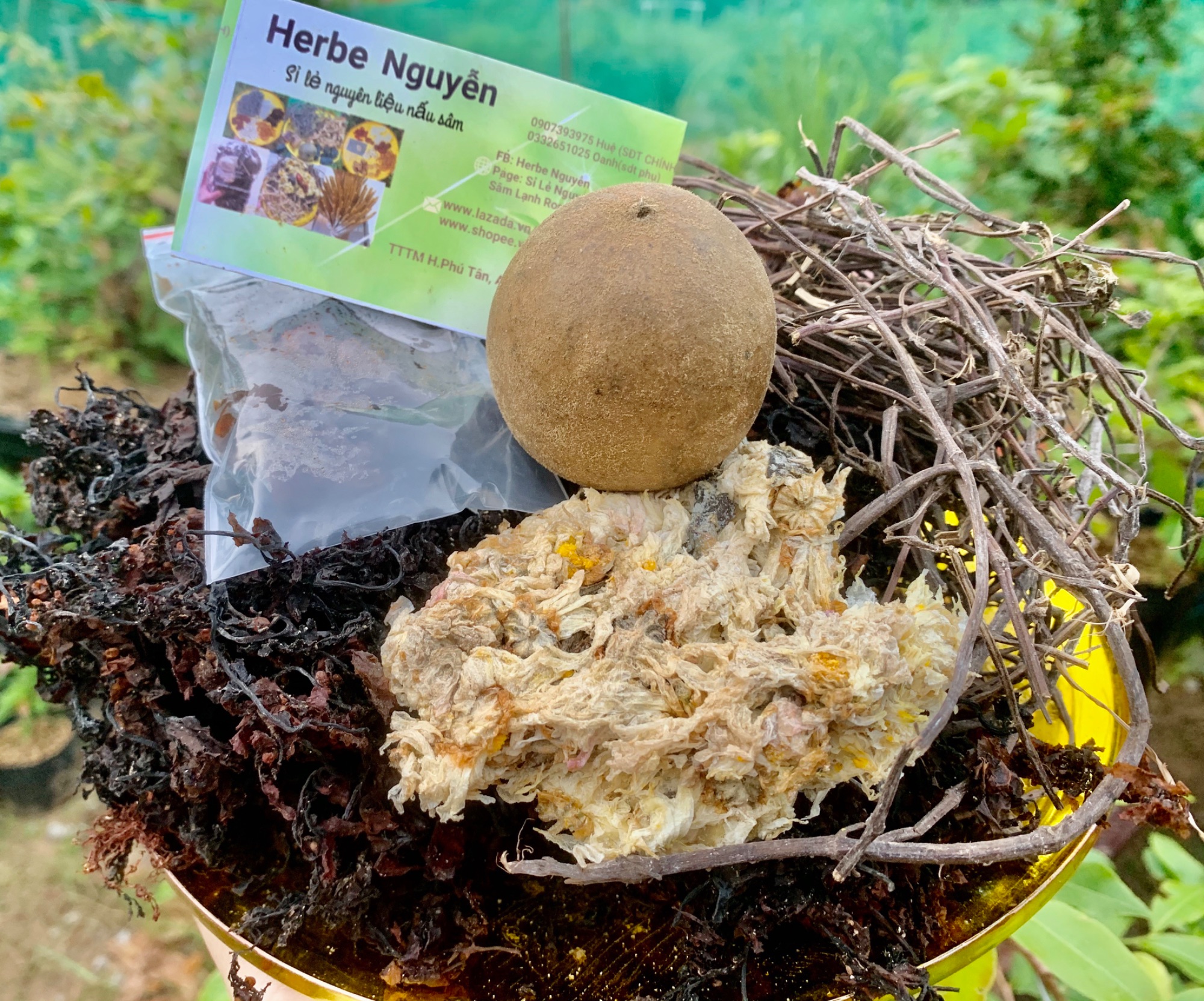 Combo 10 PHẦN- Sâm lạnh rong biển herbe nguyễn