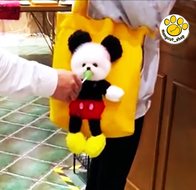 Túi Vận Chuyển Chó Mèo Thú Cưng, Túi Tote, Túi Vải canvas chuột mickey