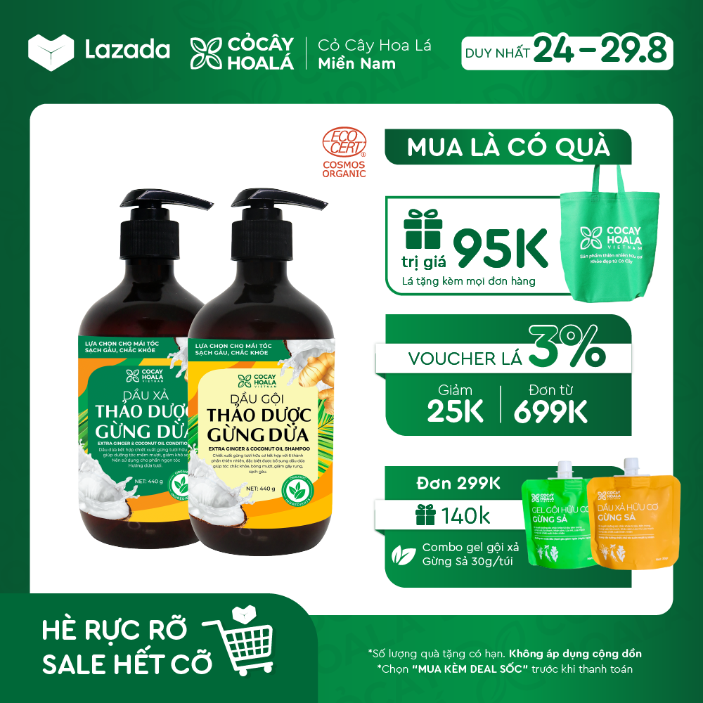 [COMBO] Dầu gội xả thảo dược gừng dừa hữu cơ Cocayhoala giảm gàu, giảm rụng tóc hiệu quả, dầu gội mẹ bầu thiên nhiên an toàn lành tính dung tích 440g/chai