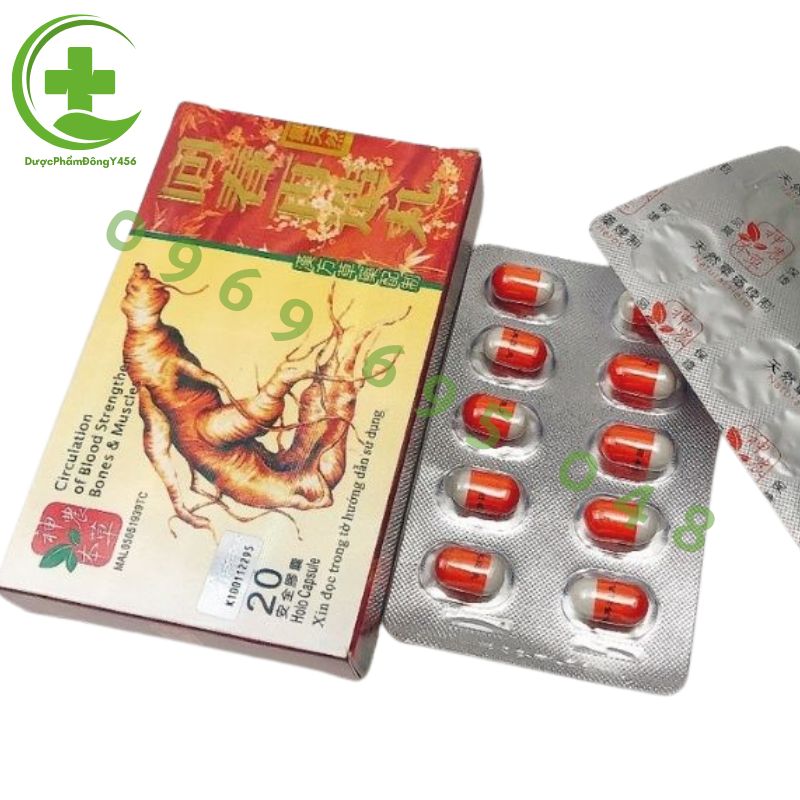 Hồi sinh tái tạo hoàn 20 viên – hỗ trợ đau nhức xương khớp