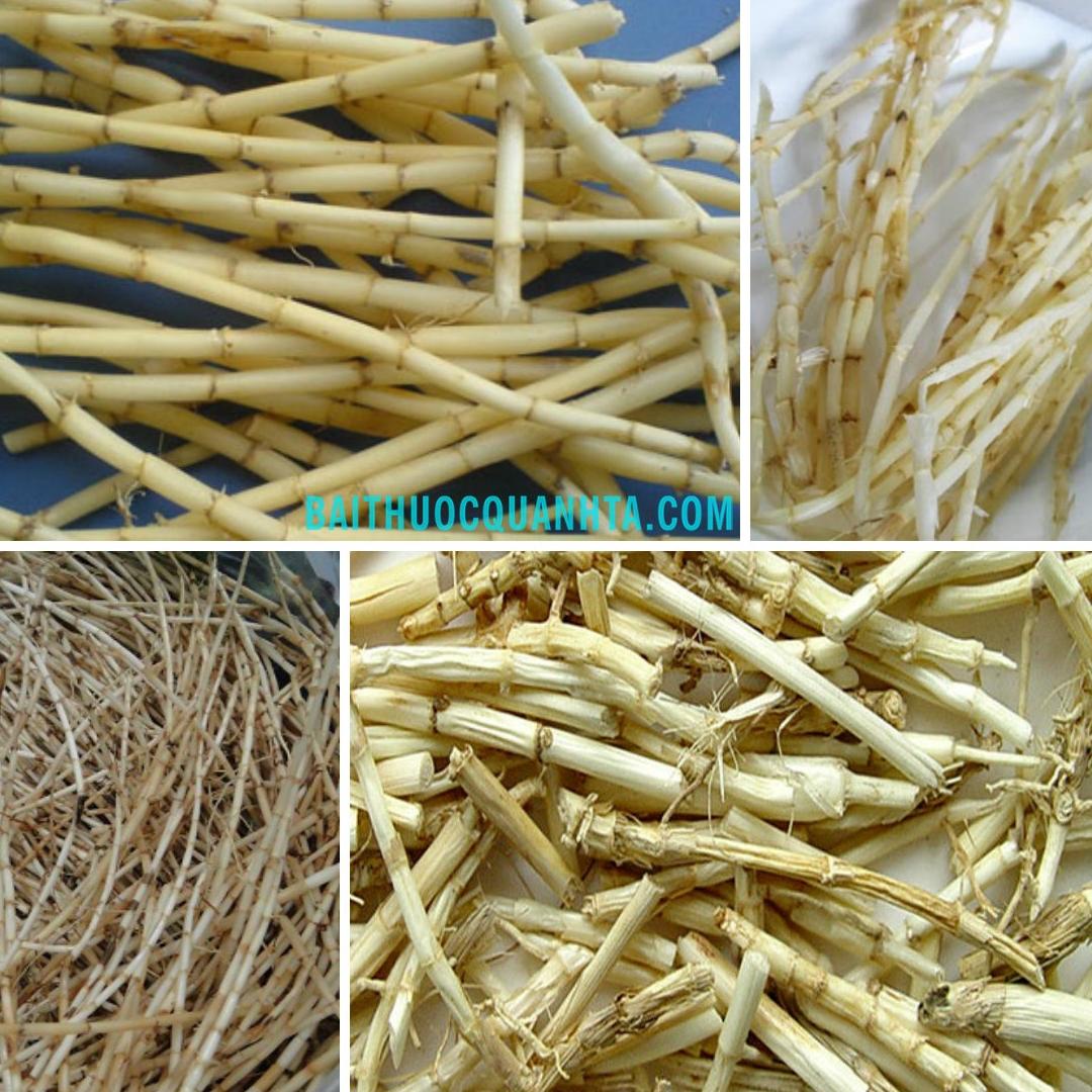1kg rễ cỏ tranh