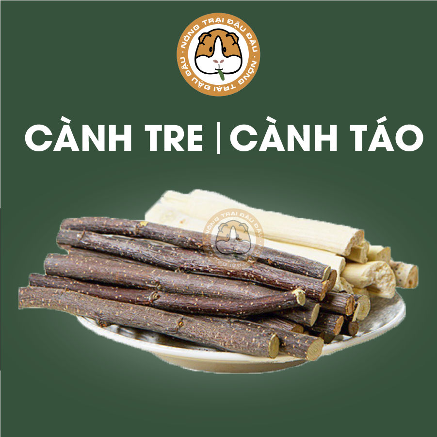 Cành tre cành táo mài răng cho thỏ, bọ ú, hamster, chinchilla 50g