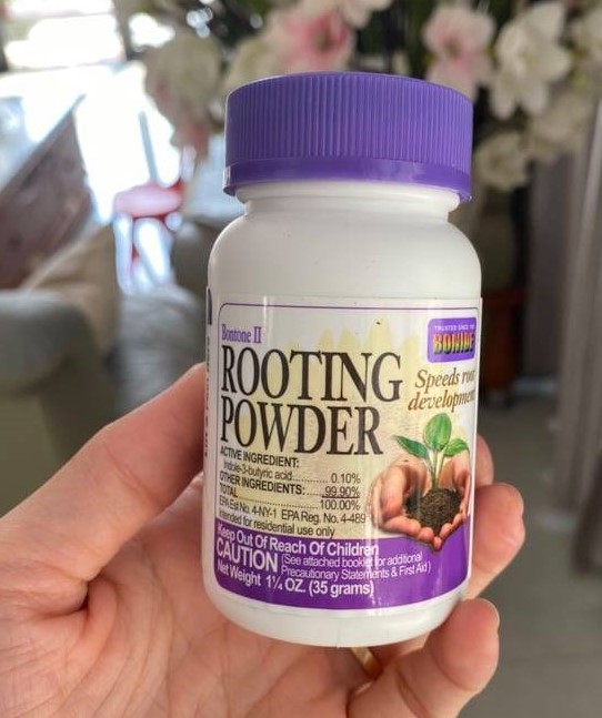 Kích Rễ Cây ROOTING-POWDER nhập khẩu Mỹ Bột siêu kích rễ cho Hoa Lan, Hoa Hồng và cây trồng