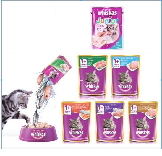 Thùng 24 gói Pate Whiskas 80g - thức ăn dành cho mèo