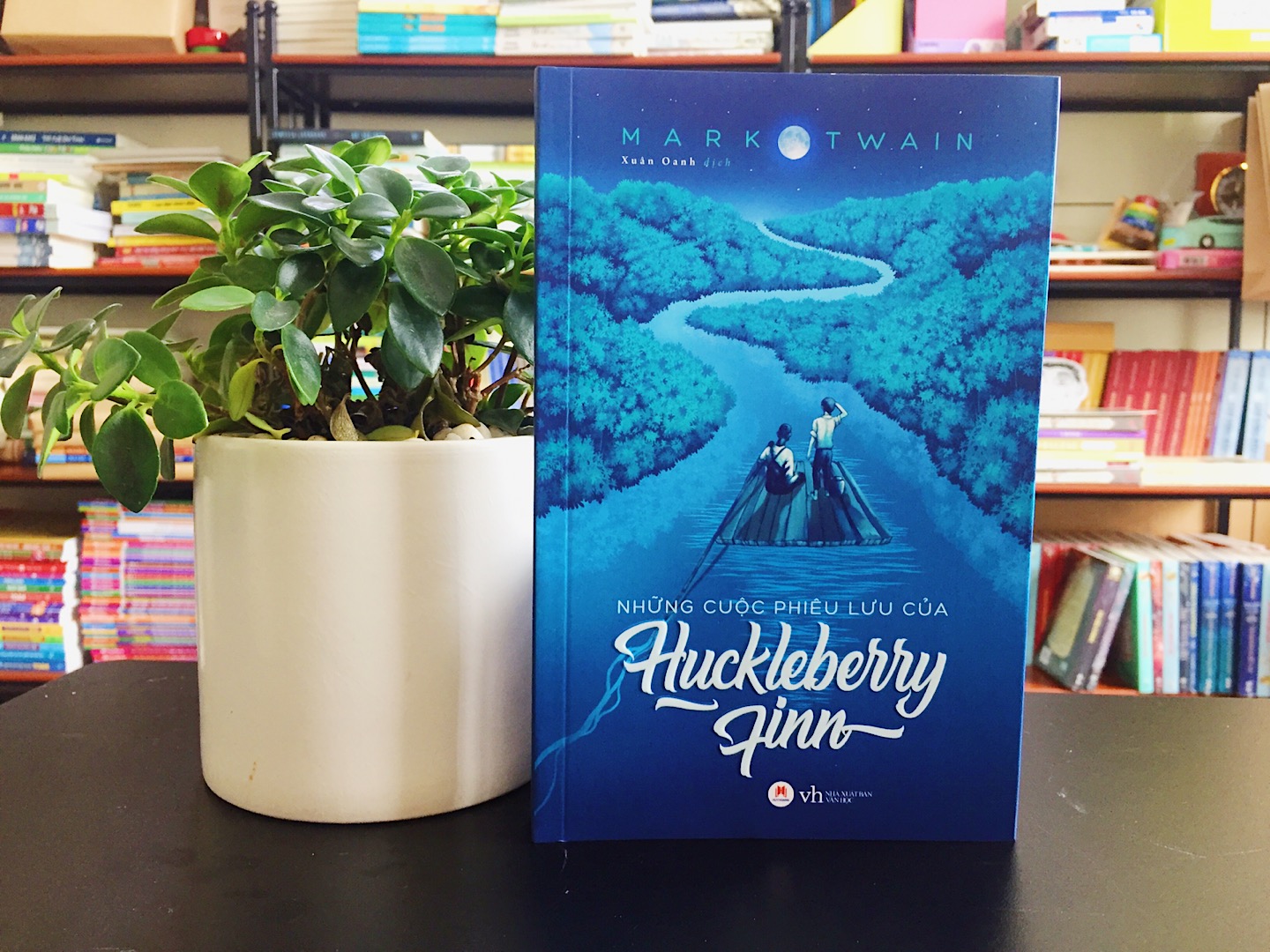 Những cuộc phiêu lưu của Huckleberry Finn