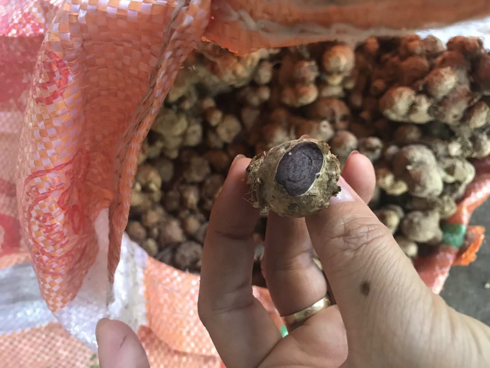 Củ ngãi đen tươi 1 ký