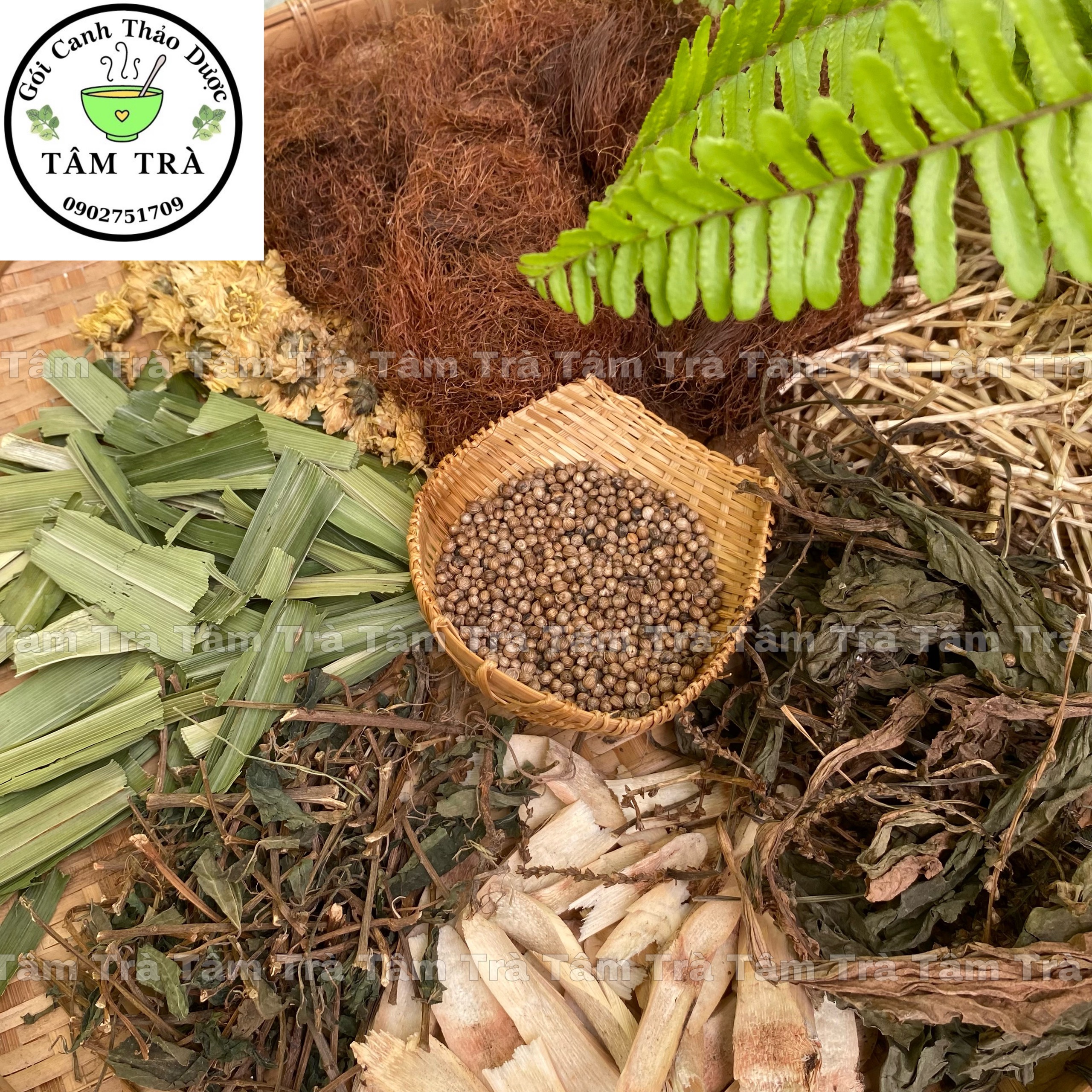 Sâm Mía Lau Bông Cúc - Nguyên liệu nấu nước sâm
