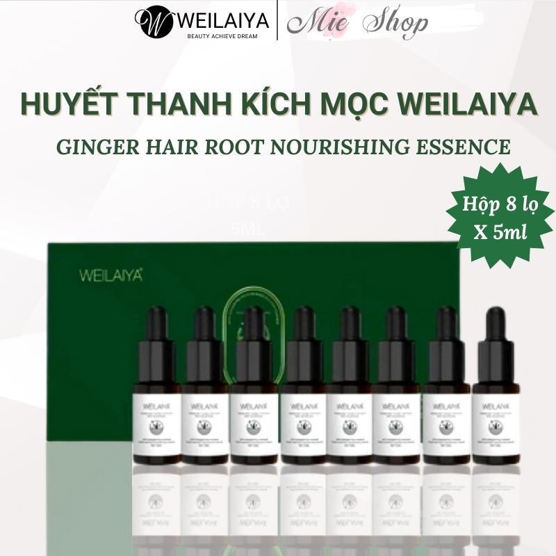 Weilaiya, Kích mọc tóc Weilaiya, tinh dầu dưỡng tóc, serum, huyết thanh ngăn rụng tóc, tóc dày chắc khỏe Ginger Hair Root Nourishing Essence 8x5ml