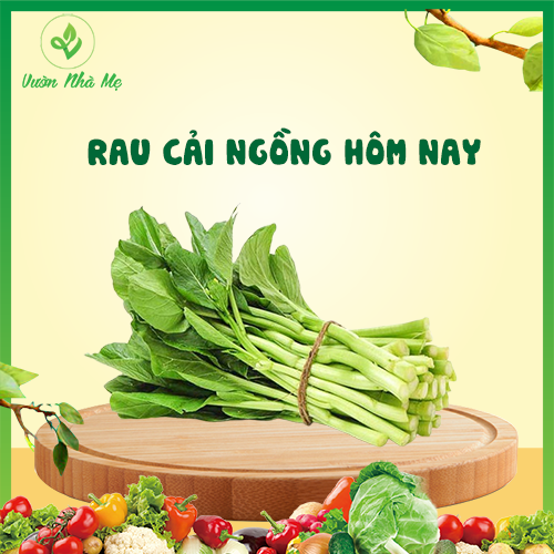 [Giao nội thành Hà Nội] Rau cải ngồng Vườn Nhà Mẹ - 1kg rau cải giàu vitamin, cho cơ thể khỏe mạnh -  Rau củ quả tươi, sạch, chuẩn VietGap