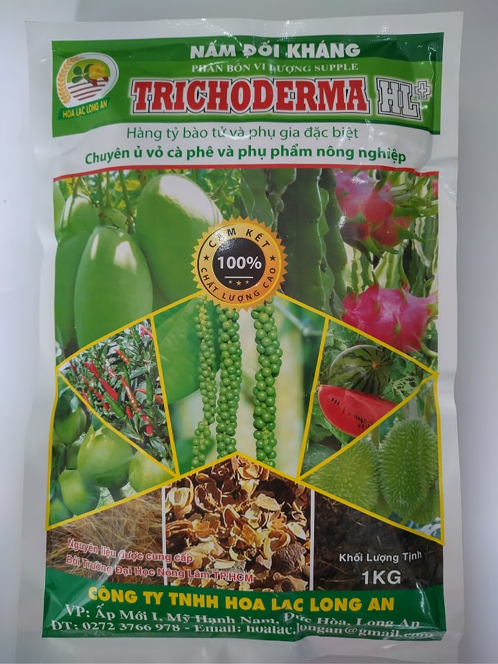 MEN Ủ VI SINH NẤM ĐỐI KHÁNG TRICHODERMA - HOA LẠC (LONG AN) - GÓI 1KG. NGUYÊN LIỆU CUNG CẤP BỞI TRƯỜNG ĐH NÔNG LÂM TP.HCM.