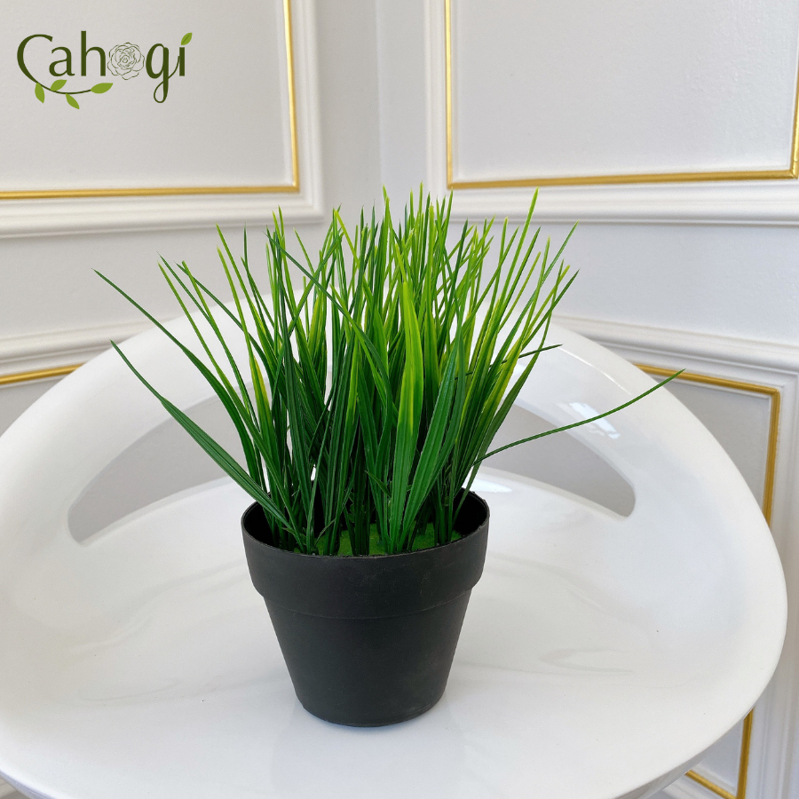 Chậu cây giả chậu lúa mạ non cắm sẵn