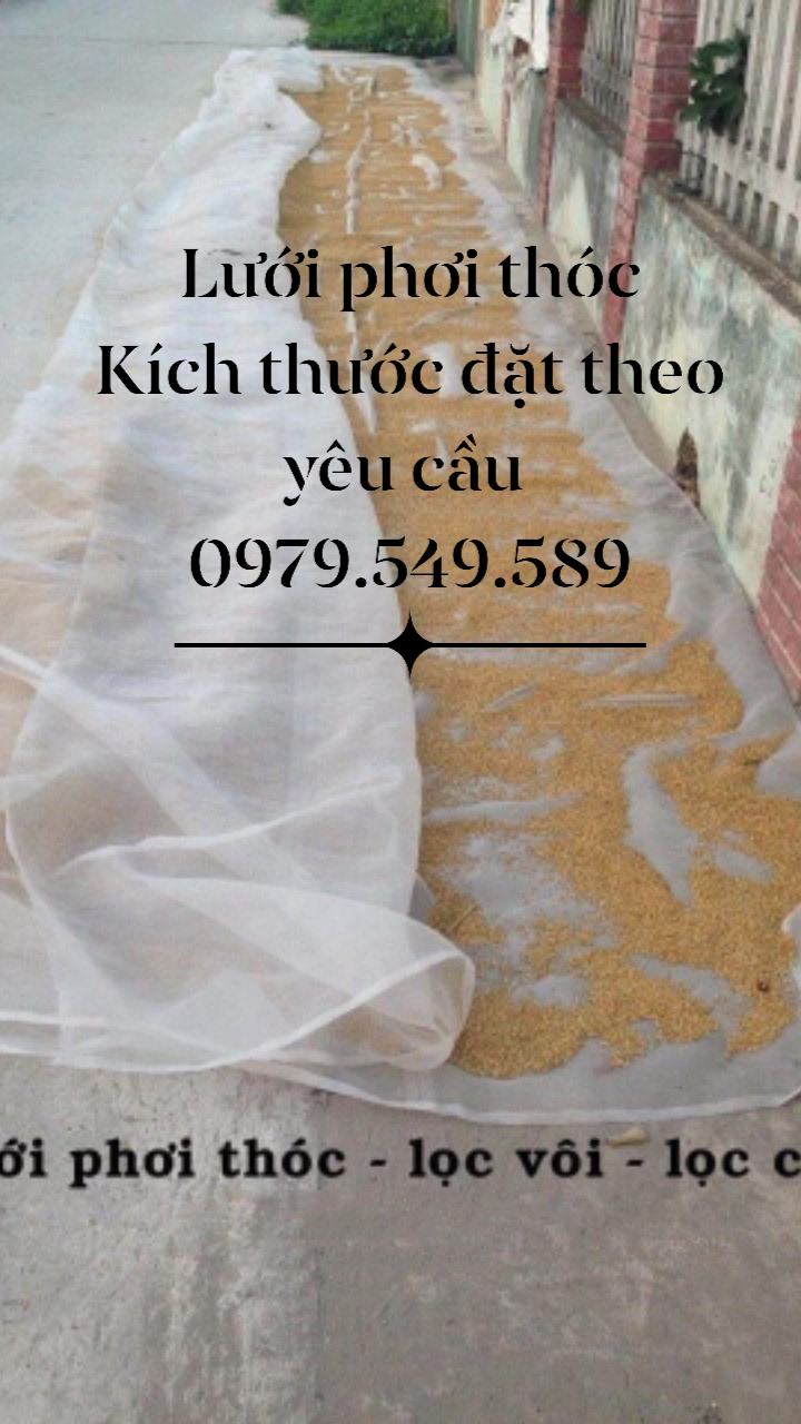 Lưới phơi thóc ,lưới phơi nông sản , lưới phơi cà phê 20m2