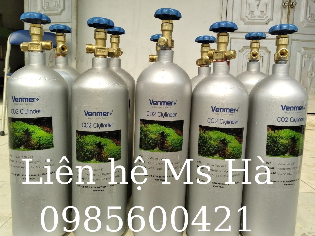 Cung cấp bình CO2 thuỷ sinh