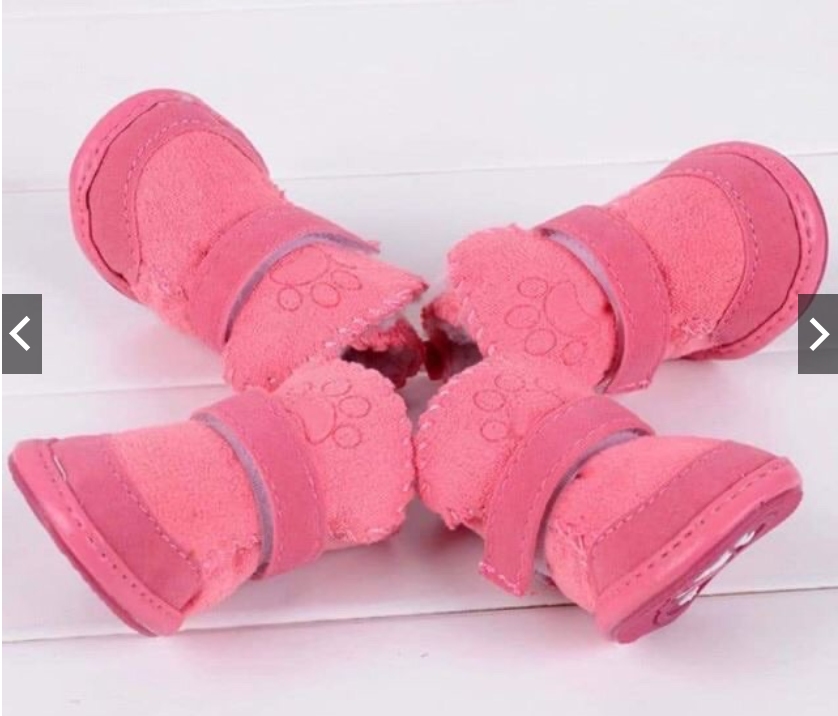 GIẦY DÉP DA CHÓ MÈO THÚ CƯNG DA LỘN ĐỦ SIZE CHẮC CHẮN