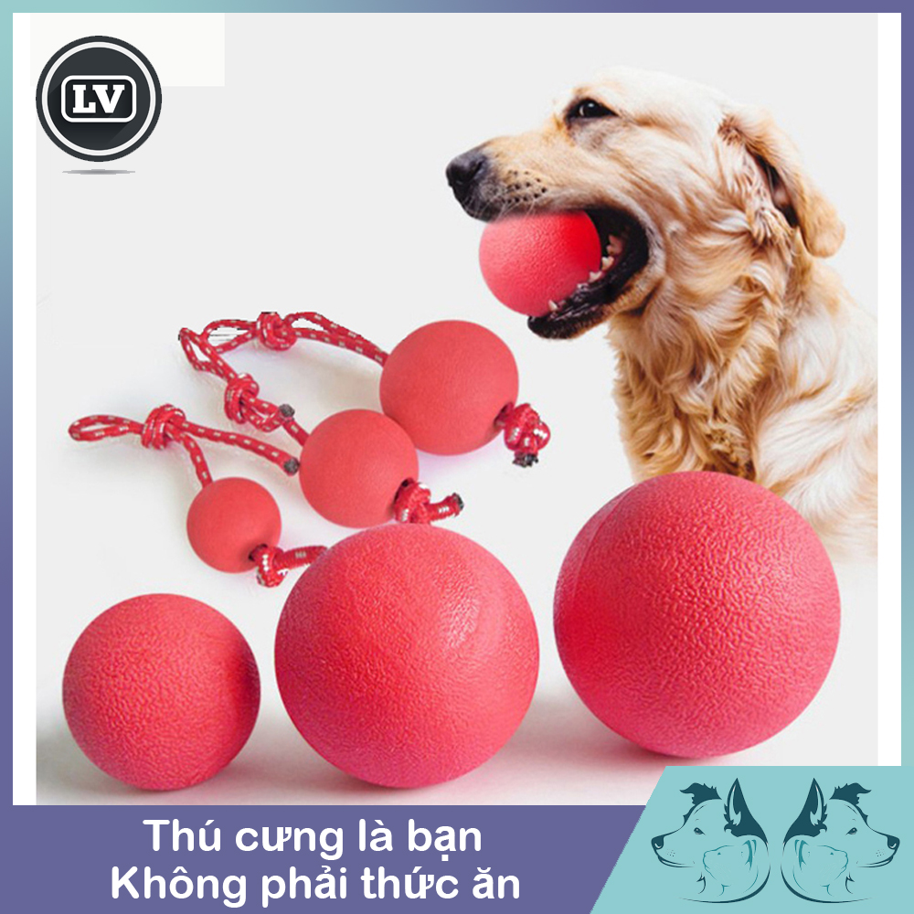 Đồ chơi chó mèo bóng cao su tập gặm cho chó mèo size nhỏ  - Phụ kiện Long Vũ