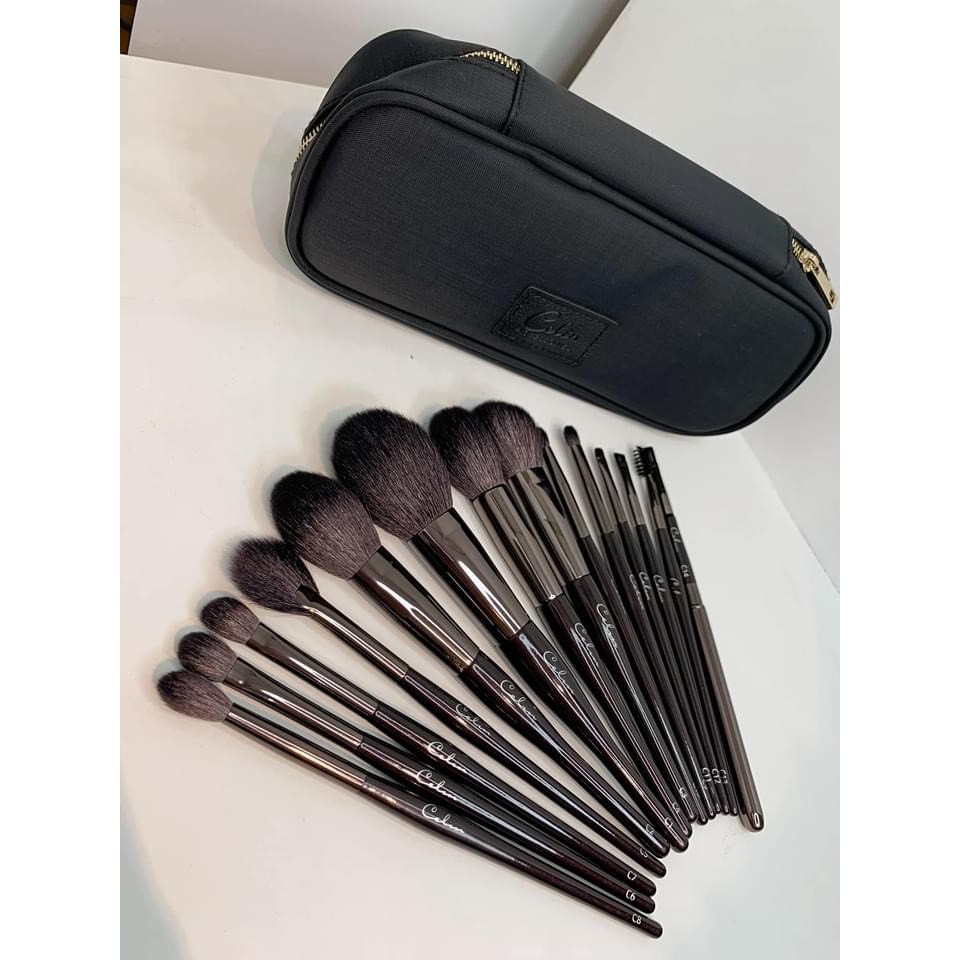 Bộ cọ celin 14 cây