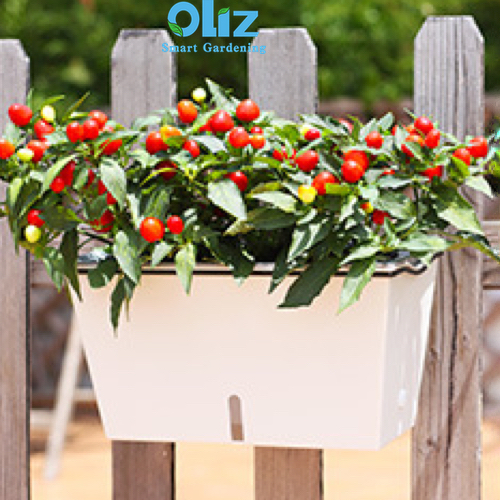 Chậu cây treo ban công Oliz SC201. Chậu trồng cây tự tưới có bao gồm giá treo