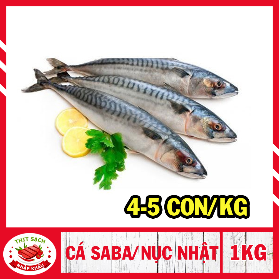 [ HỎA TỐC 2H - HCM ]  Cá nục Nhật / cá saba Nhật - Đóng hút chân không (1kg  ) Làm món cá kho cực bắt cơm