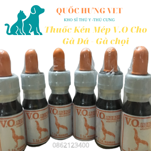 Kén mép, rách mép cho gà chọi tốt thái lan v.o- quốc hưng vet