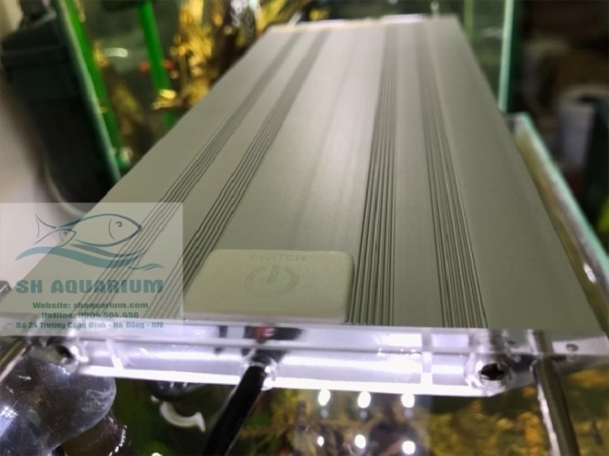 [HOÀN TIỀN 10%]ĐÈN LED TRẮNG MÁNG NHÔM AQUABLUE SIÊU SÁNG 120CM