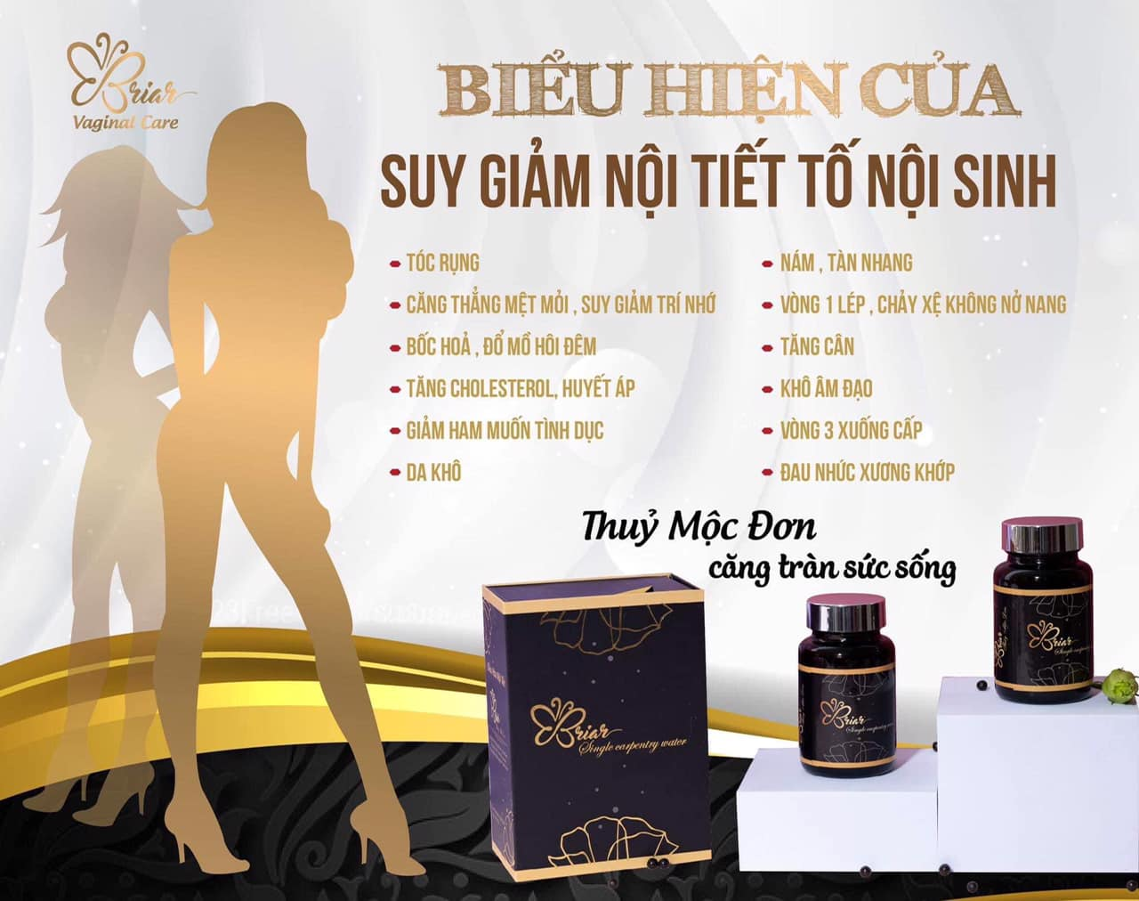 VIÊN ĐIỀU HUYẾT THUỶ MỘC ĐƠN BRIAR Tặng 1 viên đặt Briar pk