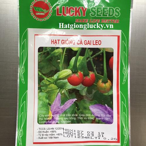 Hạt Giống Cà Gai Leo Xuất Xứ Việt Nam - LUCKY SEED. Mỗi Túi 0,2 Gam.