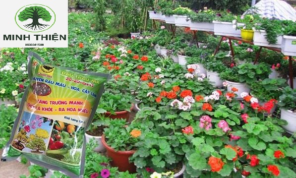 Phân bón đầu trâu đa năng 20-20-15