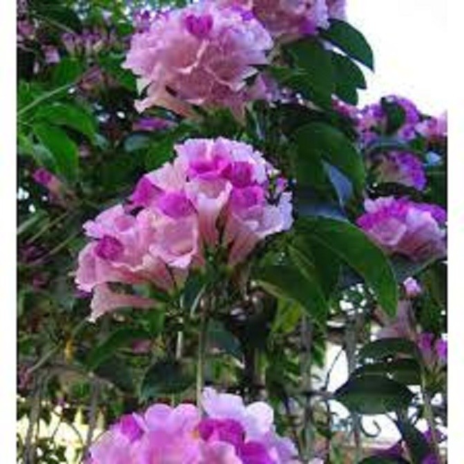 cEMoorcm3SWRNwxYBZl2_simg_d0daf0_800x1200_max.jpg