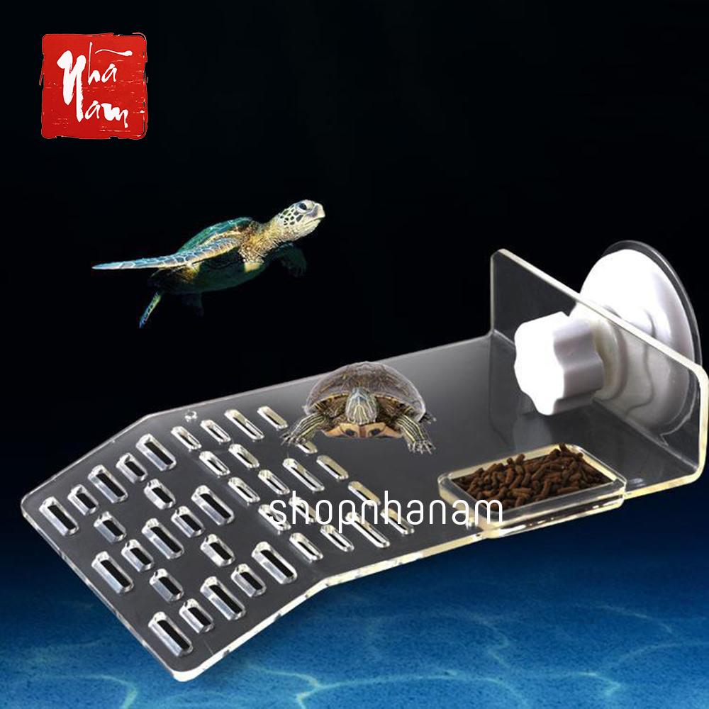Bệ phơi nắng đế giác hút siêu chắc cho nuôi rùa