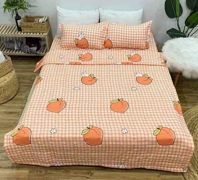 Bộ Chăn Ga Gối Hè Thu 5 Món (Gồm 1 Chăn hè chần bông+ 1 Ga bo chun+ 2 Vỏ gối nằm+1 Vỏ gối ôm)