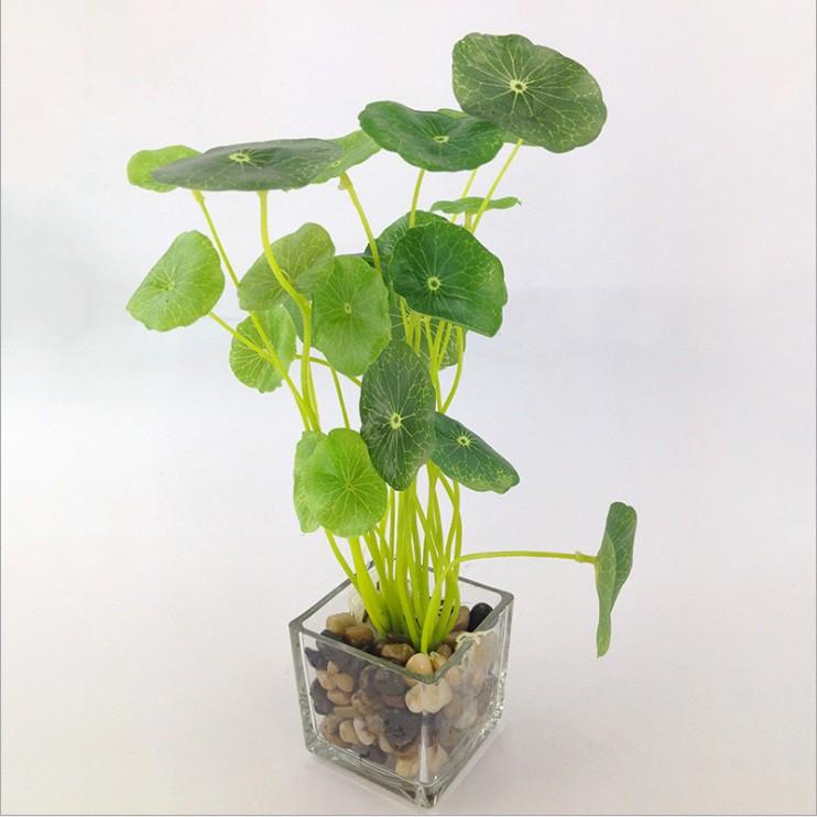 Cây nhựa pvc - cây rau má nhật