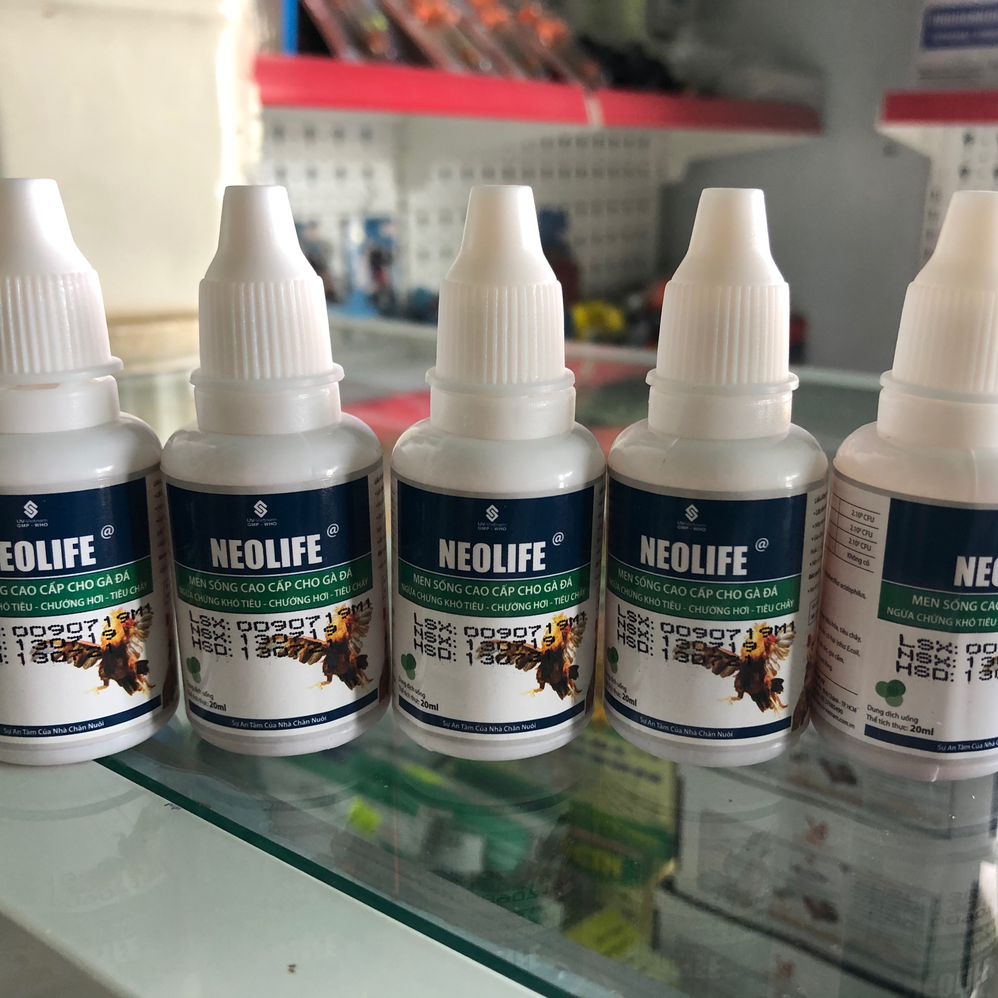 Combo 5 lọ men tiêu hoá Neolife 20ml