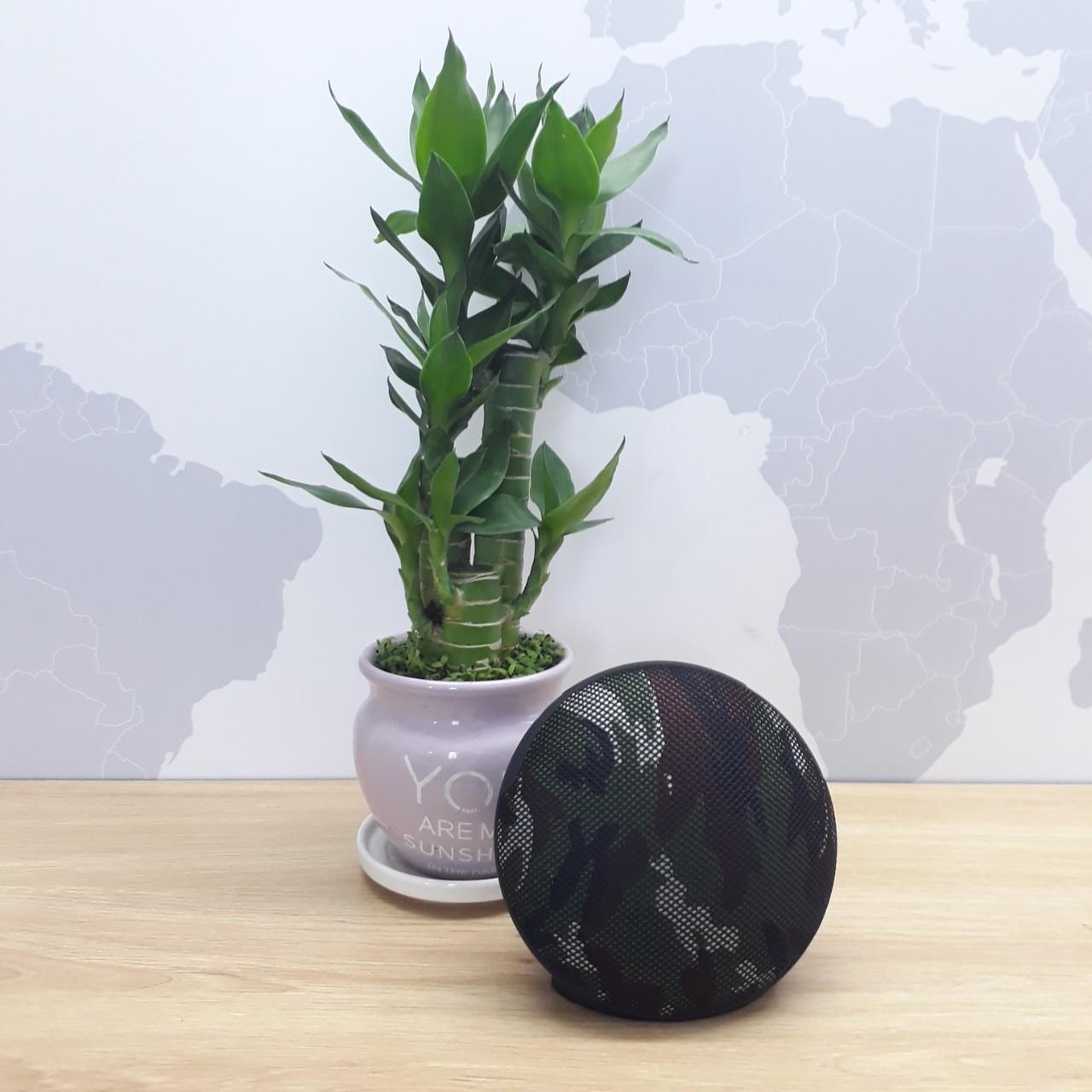 Loa bluetooth jc210