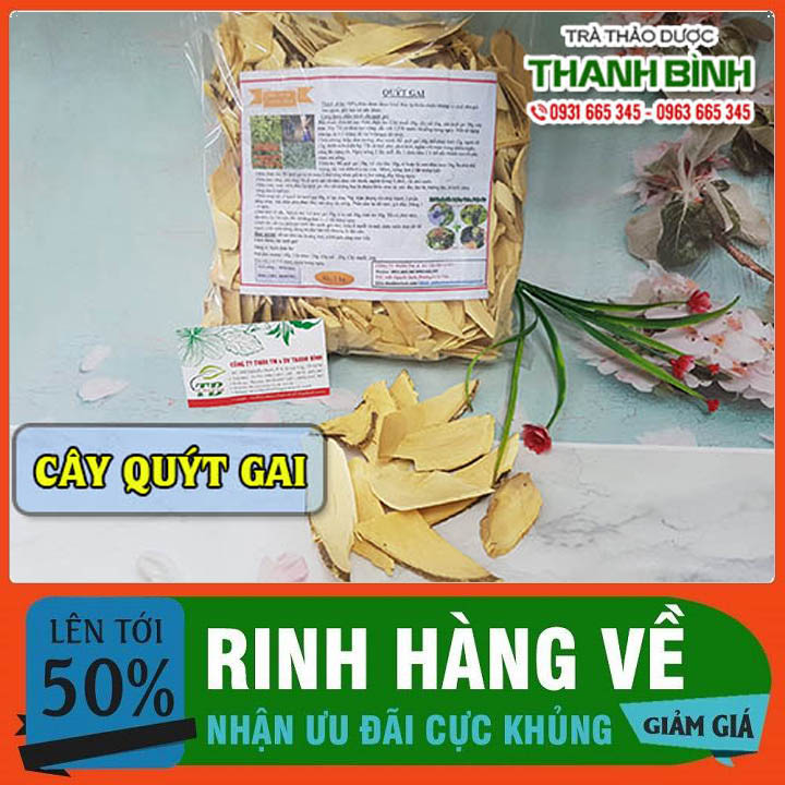 Cây quýt gai 500g - hàng công ty giá tốt
