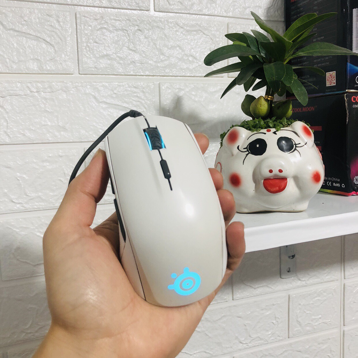 Chuột steelseries rival 110 arctis white - 2nd - đã qua sử dụng
